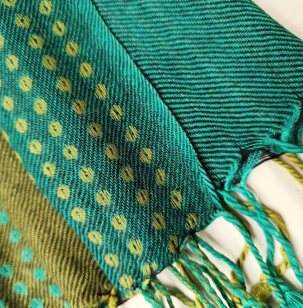 Green_Viscose_Blend_Scarf_with_Brown_Border_Pattern_(70x180_cm)