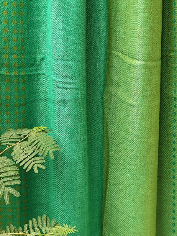 Green_Viscose_Blend_Scarf_with_Brown_Border_Pattern_(70x180_cm)
