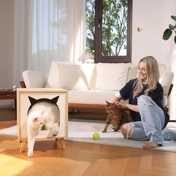Wooden_Cat_House,_Cat_Condo_for_Large_Indoor_Cats_Wood_Kitten_Hidden_Cave_TV_Cat_Bed_Furniture_with_Cushion_and_Natural_Wood_House