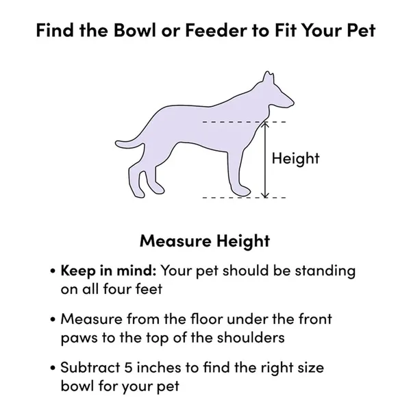 Pet_Feeder_for_Dogs__&__Cats|_pet_Food_Bowl_Elevated_Dog_Bowl_Stand_Stainless_Steel_Food_and_Water_Bowls_with_Iron_Stand_(Small)