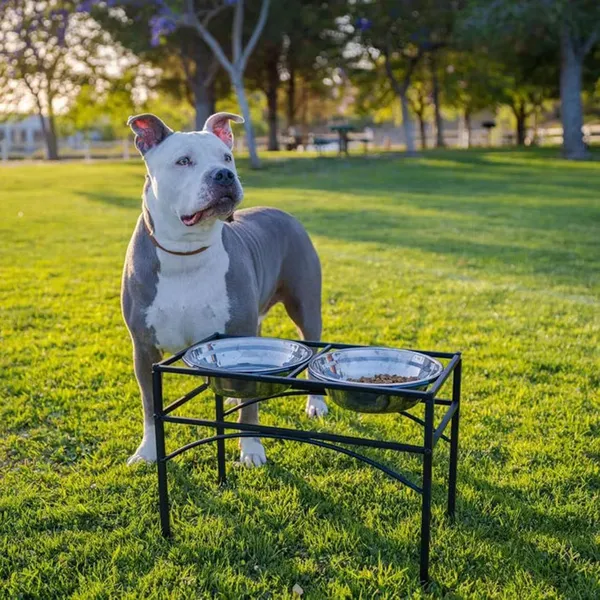 Pet_Feeder_For_Dogs__&__Cats|Pets_Food_Bowl_Elevated_Dog_Bowl_Stand_Stainless_Steel_Food_And_Water_Bowls_With_Iron_Stand_(Large_2_Bowls),?47_cm,H_25_cm,W_25_cm