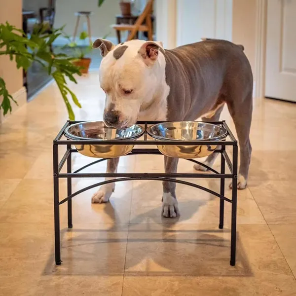 Pet_Feeder_For_Dogs__&__Cats|Pets_Food_Bowl_Elevated_Dog_Bowl_Stand_Stainless_Steel_Food_And_Water_Bowls_With_Iron_Stand_(Large_2_Bowls),?47_cm,H_25_cm,W_25_cm