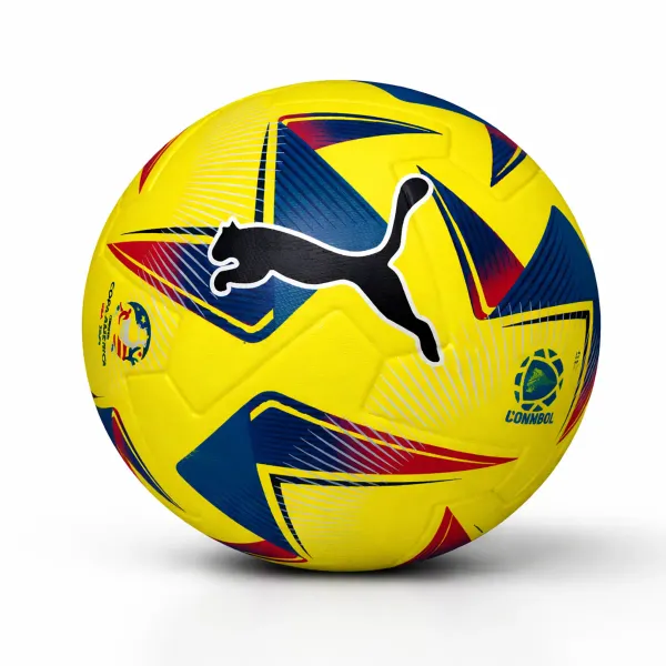 Conmebol_Copa_America_Soccer_Ball_NR_File