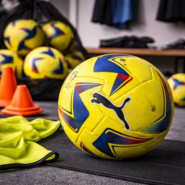 Conmebol_Copa_America_Soccer_Ball_NR_File