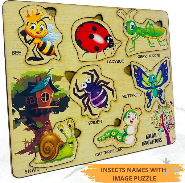 Multicolor__Insects_Name_&_Picture_Learning_Puzzle_For_Kids_(21.5_*_18.5_Cm)
