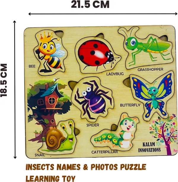 Multicolor__Insects_Name_&_Picture_Learning_Puzzle_For_Kids_(21.5_*_18.5_Cm)