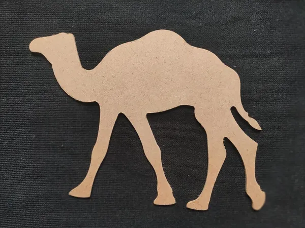 Camel_Cutouts_MDF_For_Art_and_Craft_Science_Project_Home_Decoration.