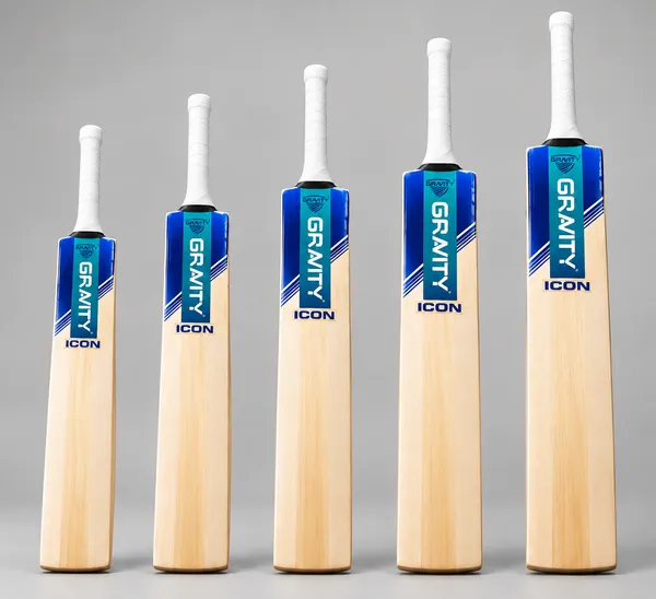 GRAVITY_ICON_Leather_Cricket_Bat