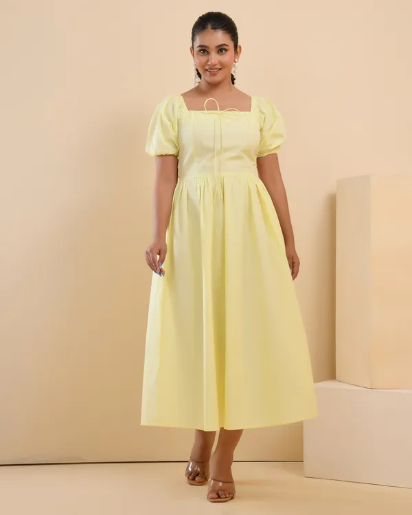 Buttercup_Fit_&_Flare_Dress