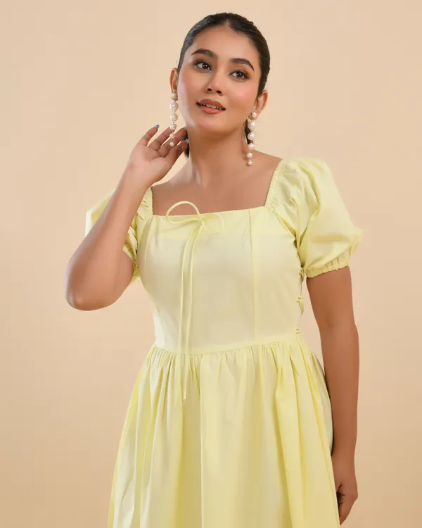 Buttercup_Fit_&_Flare_Dress