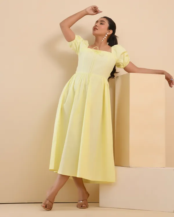 Buttercup_Fit_&_Flare_Dress
