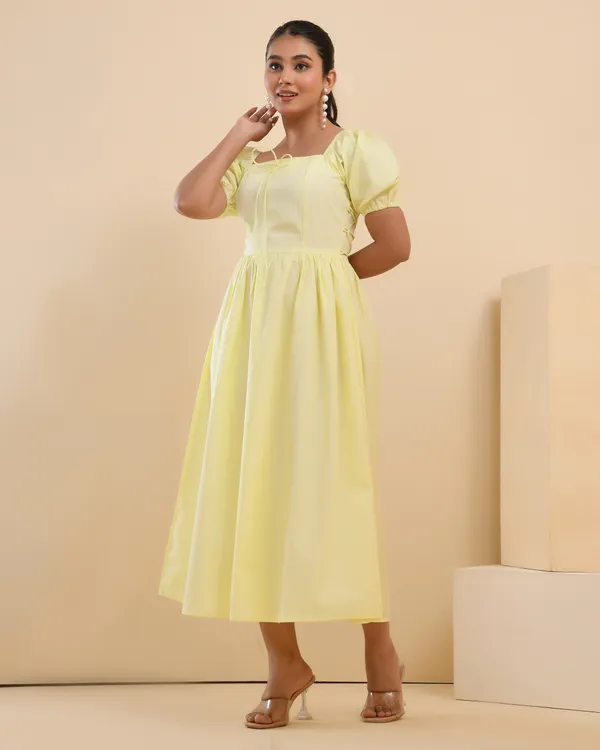 Buttercup_Fit_&_Flare_Dress
