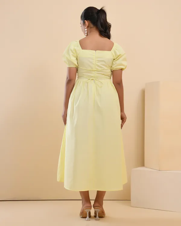 Buttercup_Fit_&_Flare_Dress