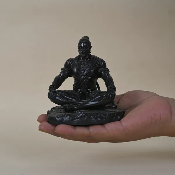 Blacksadhna_Hanuman_Idol