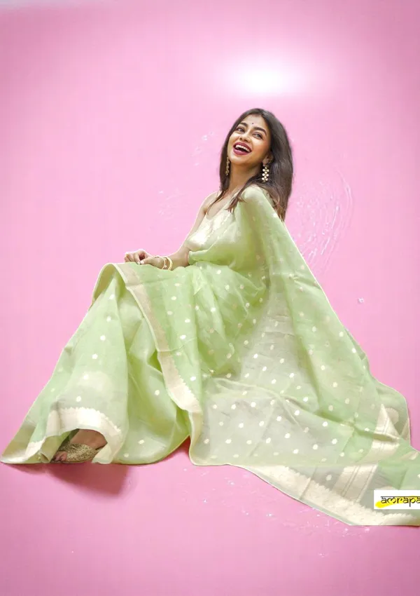 Green_Beautiful_Handloom_Silk_Kubera_Pattu_saree_with_golden_zari_weaving_border_with_Blouse_Piece_for_Women_2025_Collection.