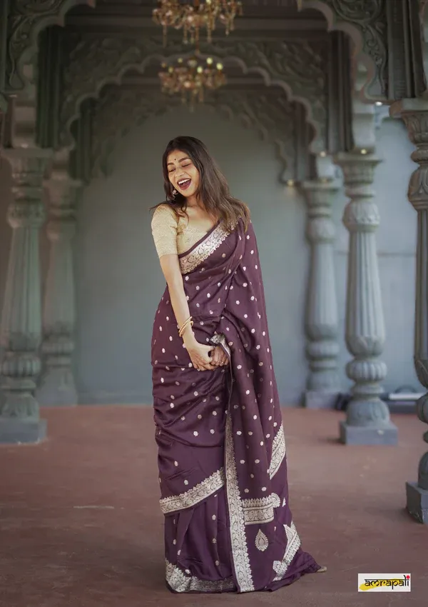 Brown_Beautiful_Handloom_Silk_Kubera_Pattu_saree_with_golden_zari_weaving_border_with_Blouse_Piece_for_Women_2025_Collection.