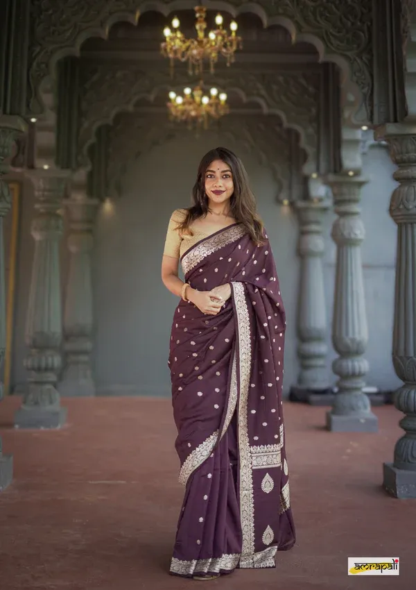 Brown_Beautiful_Handloom_Silk_Kubera_Pattu_saree_with_golden_zari_weaving_border_with_Blouse_Piece_for_Women_2025_Collection.