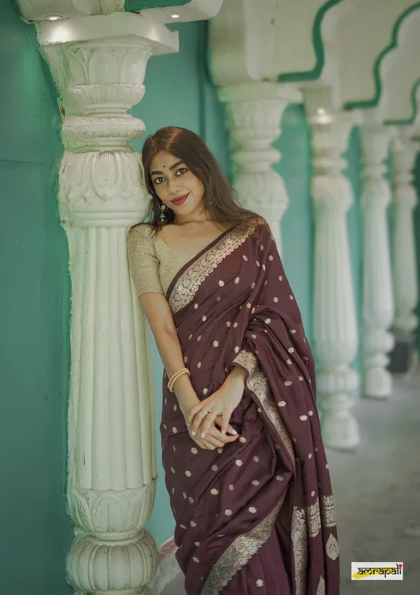 Brown_Beautiful_Handloom_Silk_Kubera_Pattu_saree_with_golden_zari_weaving_border_with_Blouse_Piece_for_Women_2025_Collection.