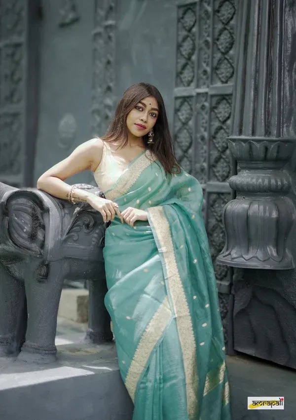 Pista_Beautiful_Handloom_Silk_Kubera_Pattu_saree_with_golden_zari_weaving_border_with_Blouse_Piece_for_Women_2025_Collection.