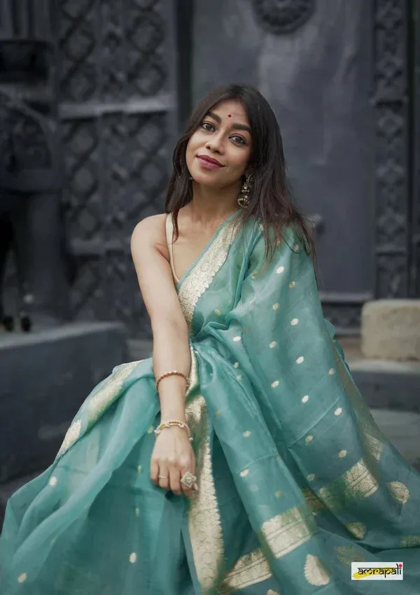Pista_Beautiful_Handloom_Silk_Kubera_Pattu_saree_with_golden_zari_weaving_border_with_Blouse_Piece_for_Women_2025_Collection.