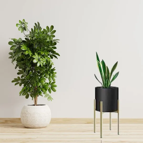 Black_Metal_Flower_Stands_Planter_For_Living_Room_&_Bedroom