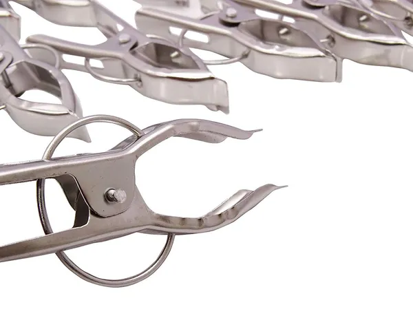 Silver_Hanging_Cloth_Drying_Pegs/Clips_Heavy_Duty_&_Stainless_Steel_Material_Will_Not_Rust_Clothes_Set_Of_2_(24_pc)