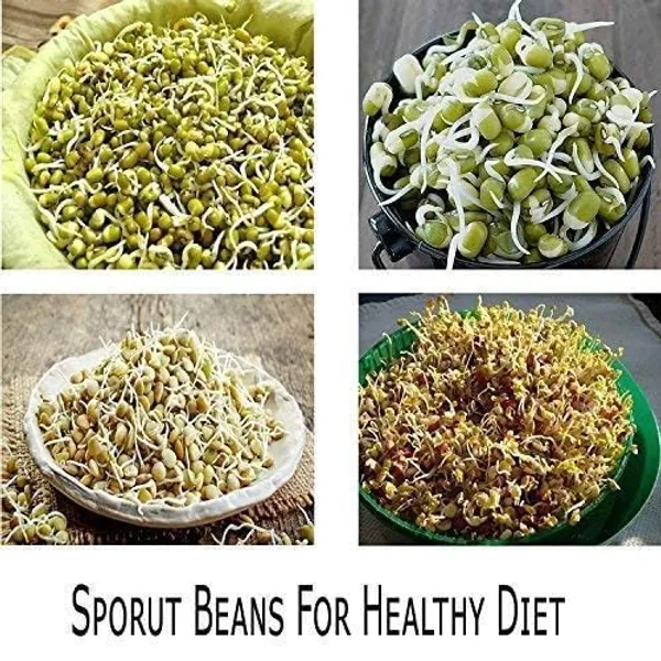 Plastic_Organic_Hygienic_Sprout_Maker_Box_with_4_Container_for_Making_Fresh_Sprouts_Beans_for_Living_Healthy_Life