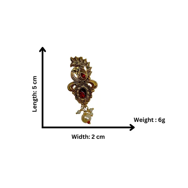 Gold-Red_Gold_Plated_Traditional_Semi_Precious_Stones_Studded_Antique_Peacock_Design_Unisex_Brooch/Saree_Pin_For_Women_And_Girls_Pack_Of_1_(Red)