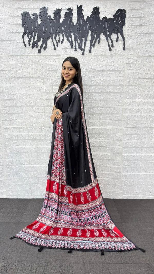 black_and_red_half_and_half_real_mirror_saree
