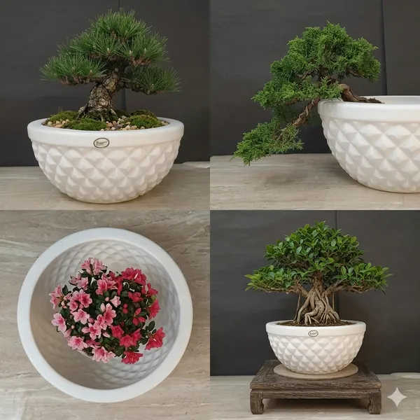 Holden_White_Plastic_Pot_(12_Inch)_pack_of_2_-_Lightweight_Planter_for_Indoor_Plants_&_Home_Decor