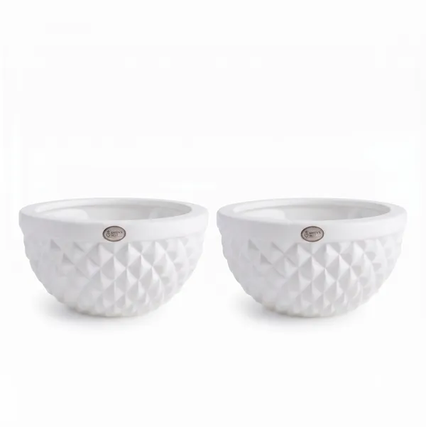 Holden_White_Plastic_Pot_(12_Inch)_pack_of_2_-_Lightweight_Planter_for_Indoor_Plants_&_Home_Decor