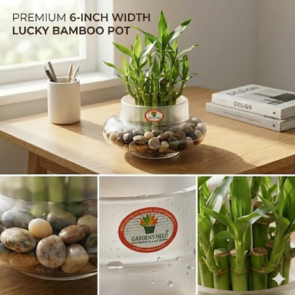 Modern_Frosted_UFO_Planter_Pot__Translucent_Plastic_for_Lucky_Bamboo