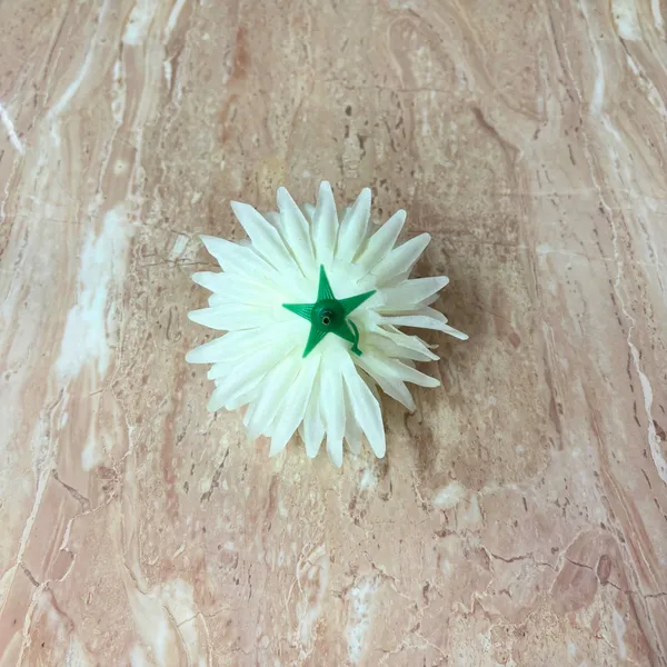 Elegant_Artificial_Dahlia_Flowers_pack_of_600_piece_for_Home_&_Office_Decor