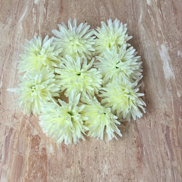 Elegant_Artificial_Dahlia_Flowers_pack_of_600_piece_for_Home_&_Office_Decor