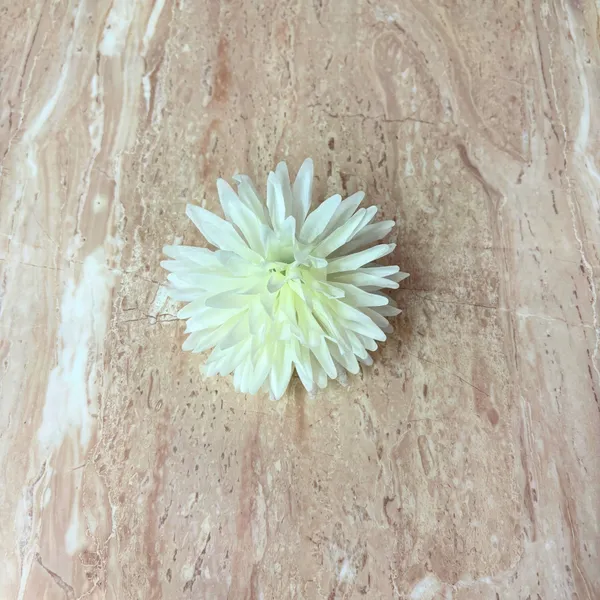 Elegant_Artificial_Dahlia_Flowers_pack_of_600_piece_for_Home_&_Office_Decor