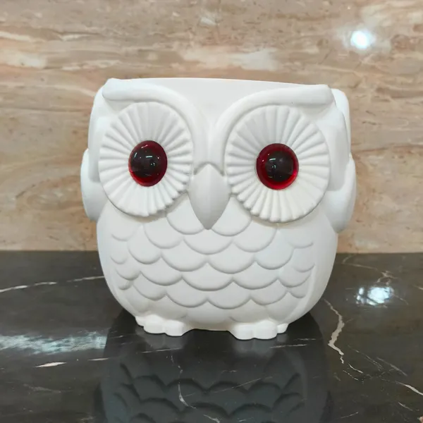 Stylish_White_Owl_Flower_Pot_with_Red_Eyes__Perfect_for_Cacti_&_Home_Accents