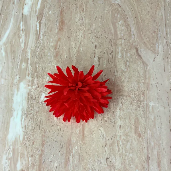 Elegant_Artificial_Dahlia_Flowers_pack_of_600_piece__for_Home_&_Office_Decor