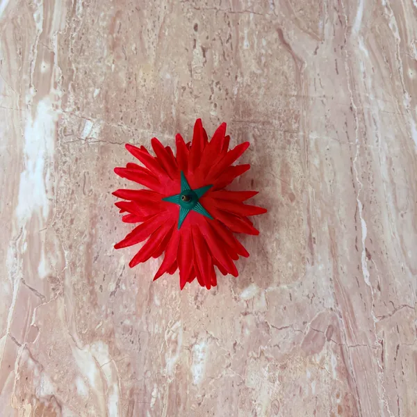 Elegant_Artificial_Dahlia_Flowers_pack_of_600_piece__for_Home_&_Office_Decor