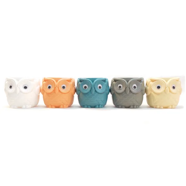 Pack_of_5_Owl_Plastic_Flower_Vase_|_For_Home,_Garden_|_4.5_Inches