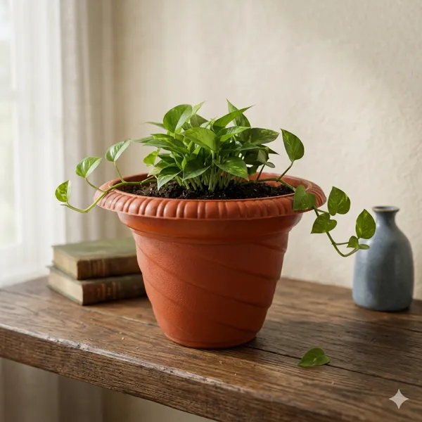 Twister_Design_Brown_Plastic_Pots_10_Inch_Pack_of_12_|_Stylish_Flower_Planters_for_Home_Garden_Balcony_Indoor_Outdoor_Decor
