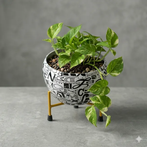 Multicolour_Light_Weight_Floortable_Metalic_Flower_Vase_|_For_Home,_Garden_&_Events_|_6_Inches