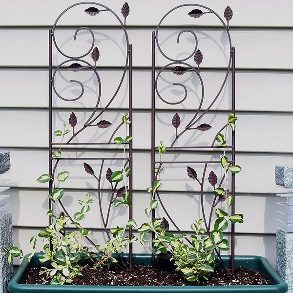 Black_32-Inch_Rustic_Plant_Design_Outdoor_Garden_Trellis_-_Metal_Wire_Plant_Support_Trellis_For_Climbing_Plants__(1)____16W_x_75H_Centimeters