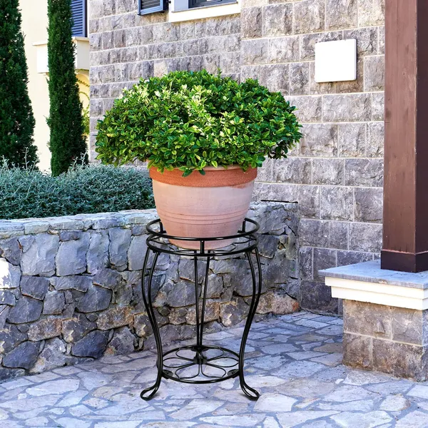Black_Royal_Potted_Planter_Stand_Rust_Free_Stable_Sturdy_Wrought_Iron_Frame_Excellent_For_Indoor_Entry_Way)_Easy_(Lotus)____30_x_30_x_50_cm;_3_kg