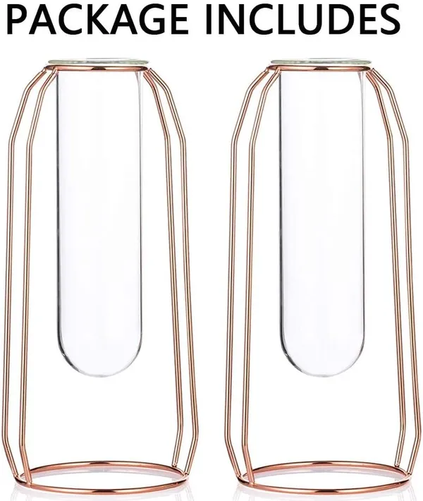 Rose_Gold_2_Pcs_Flower_Vases_With_Iron_Art_Frame_Geometric_Plant_Pot,_Centerpiece_Plant_Vase,_Plants_Tabletop_Display_Holder_For_Wedding_Indoor_Table_10L_x_10W_x_23H_Centimeters