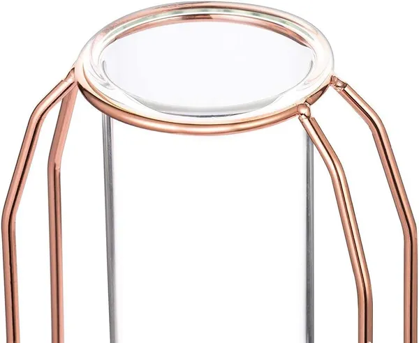 Rose_Gold_2_Pcs_Flower_Vases_With_Iron_Art_Frame_Geometric_Plant_Pot,_Centerpiece_Plant_Vase,_Plants_Tabletop_Display_Holder_For_Wedding_Indoor_Table_10L_x_10W_x_23H_Centimeters