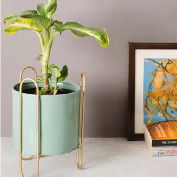 Sky_Blue_Rust_Free_Decorative_Table_Top_Mini_Plant_Stand_For_Artificial_Or_Natural_Iron_Plants_For_Indoor_Outdoor_Home_And_Garden_Decor_(Sky_Blue)_17_x_17_x_24_Centimeters