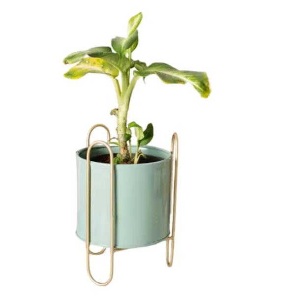 Sky_Blue_Rust_Free_Decorative_Table_Top_Mini_Plant_Stand_For_Artificial_Or_Natural_Iron_Plants_For_Indoor_Outdoor_Home_And_Garden_Decor_(Sky_Blue)_17_x_17_x_24_Centimeters