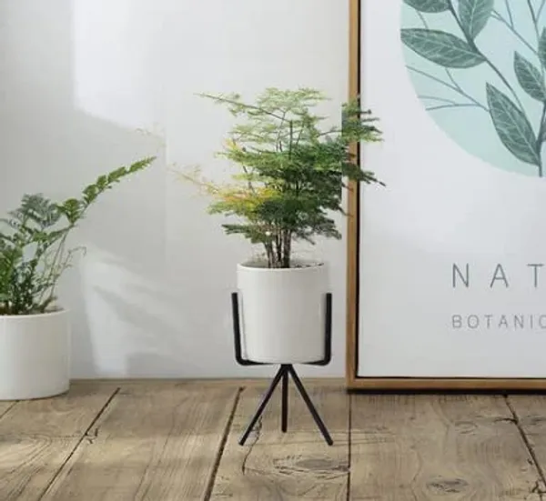Black_Planter_Stand_Indoor_Rustproof_Durable_Stylish_Modern_Shelf_Living_Room_Sturdy_Stable_Decor_Decoration_Pot_Stand_Mid_Century_-_Small_(Single_Small)____7.62_x_7.62_x_12.7_cm;_1_kg