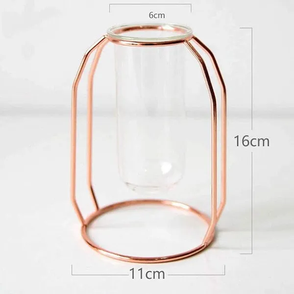 Rose_Gold_Wire_Vase_With_Clear_Glass_Test_Tube_Metal_Frame_Flower_Centerpiece_For_Home,_Office,_Modern_Vases_For_Flowers_Decorative_Art_Table_Vase____11L_x_11W_x_24H_Centimeters