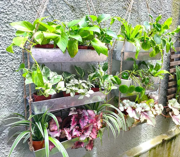 Silver_Wall_Planters_-_16_Inch_3-Tier_Galvanized_Wall-Mounted_Succulent_Planters_For_Indoor_Plants,_Boho_Metal_Window_Herb_Garden,_Rectangle_Hanging_Vertical_Shelf_11_x_6_x_16_Centimeters